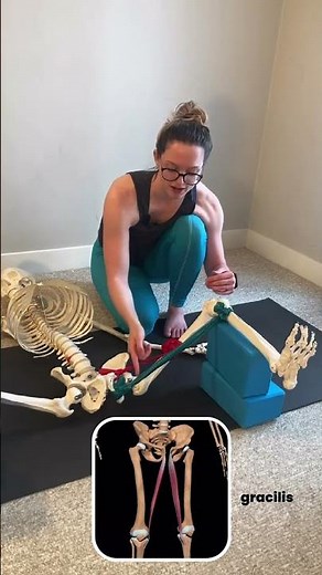 Frog Stretch Vs. Middle Split - Why do they feel so different?