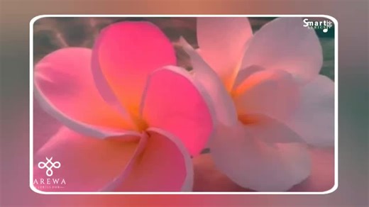 SMART_LYRICS on TikTok