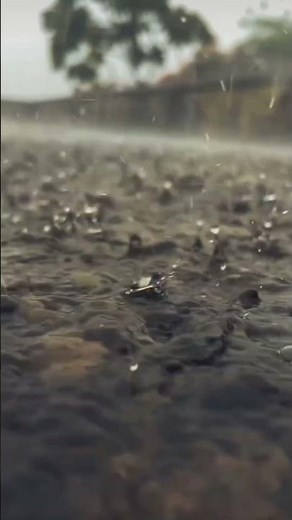 barish #rain #song