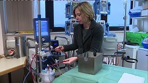 2.3K views · 13 reactions | Your ITV News Anglia headlines in about 30 seconds on Tuesday 9 February 2016. | ITV Anglia | Facebook