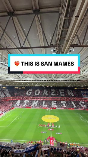 Discovering San Mamés Stadium: A Football Experience