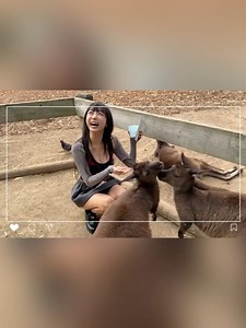 표은지 Eunji Pyo ピョ・ウンジ🍎 on Instagram: "This week’s stream is on Wed✨ Don’t forget to check out this vlog before then😉 이번주 방송 수요일, 시드니 브이로그 보면서 기다리기🩷"