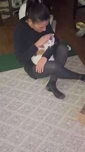 1.9K views · 115 reactions | Meet Godiva, an adult calico cat with a...