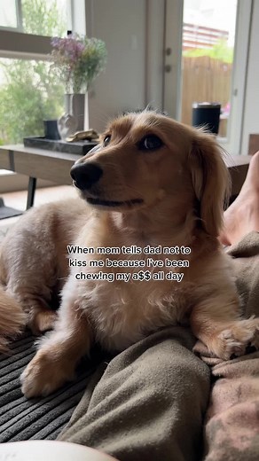 A little privacy, please??