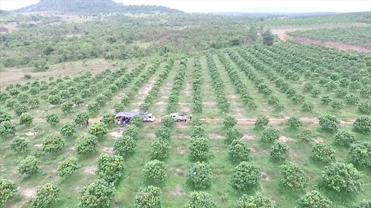 698K views · 453 shares | Cambodia Agriculture and Environment on Reels | Facebook