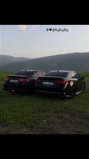 avalon vs camry