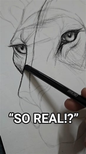 ASMR Lion Drawing 🦁✨ | Satisfying Pencil Sounds #shorts