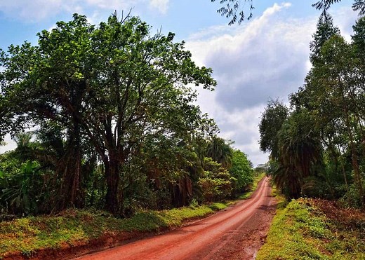 Uganda Climate Guide: Best Time to Visit (Weather, Rain & Temp by Month...) | Storyteller Travel