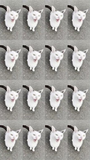 Send this and say nothing.