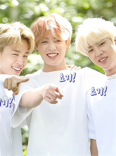 BTS Seasons Greetings 2019 Highlights