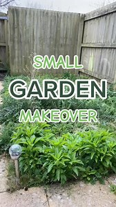DIY Gardening 😍 #diy #gardening | DIY Gardener