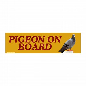 Pigeon on Board Meme Sticker: Funny Bumper Sticker or Magnet