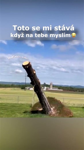 Označ tu pravou v komentářích 🤣👍 #zena #laska #srandamusibyt #zabava #cesko #vtipyczsk #vtipnevideo