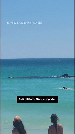 A video shows a large whale swimming unusually close to the shore at a beach in Perth, Australia, according to Reuters. Swimmers were seen approaching the whale and touching it. | CNN International