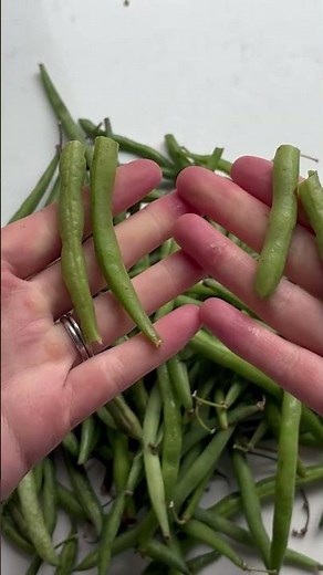Better Than Takeout - Garlic String Beans