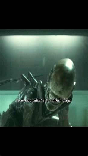 humans keep aliens as pets—deadly mistake 🛸 #movie #film #horror #youtube