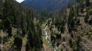 Aerial through colorful river valley in mountains of Lowman, Idaho in autumn