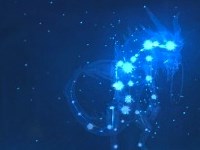 Protectors of the Endless Video Preview and News Round Up