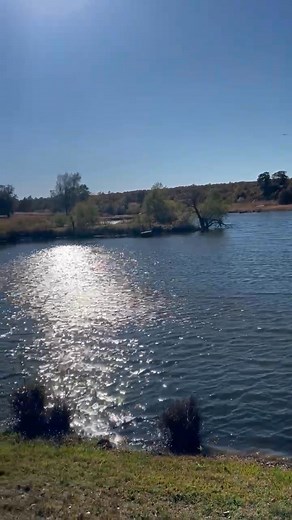 17 reactions · 3 comments | Christopher Tyler on Reels | Facebook