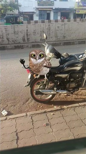 #cosplaycommunity #funnyshorts