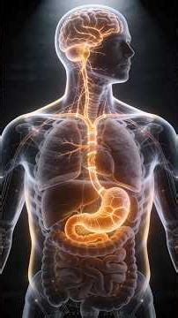 Your Gut is Controlling More Than You Think.. #guthealth #brainhealth #shorts