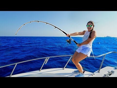 UNEXPECTED Catch while Deep Sea Fishing! Catch, Clean, Cook!