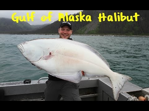 Halibut Fishing the Gulf of Alaska