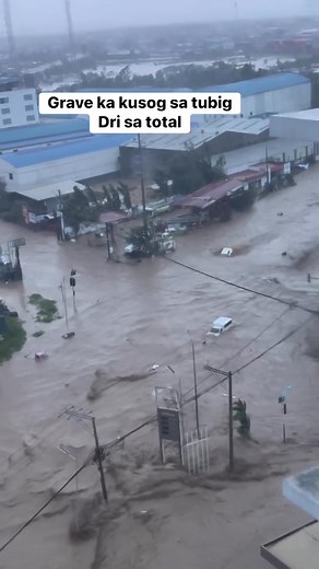 Situation karon sa Total MANDAUE Ctto : Ri You #Update #reelschallengereelschallenge #reelsvideoシ #reelschallengereelschallengereelschallengereelschallenge #reelsviralシ #reelsviralシfb #reelsfbシ #reelschallenge #amping | Xymon Peter III