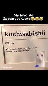 DAILY JAPANESE MEMES on Instagram: "Yes you 🫵 I posted this meme specifically for you. - - - #japaneselearning #jlptn #jlpt #studyjapanese #japaneselanguage #learnjapanese #japanese #nihongo #japanesestudy #japaneselesson #hiragana #kanji #japan #katakana #learningjapanese #learnjapaneseonline #japanesewords #japanesevocabulary #anime #japaneseclass #nihongojapanese #japaneselessons #japanesestudying #japaneseculture #japanesephrase #belajarbahasajepang #japanesegrammar #nihongoclass #studyingj