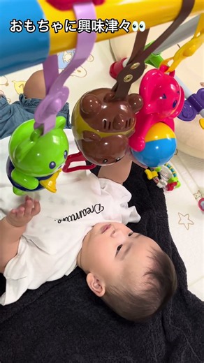 【生後6ヶ月】ベビージムのおもちゃに興味津々🧸👀