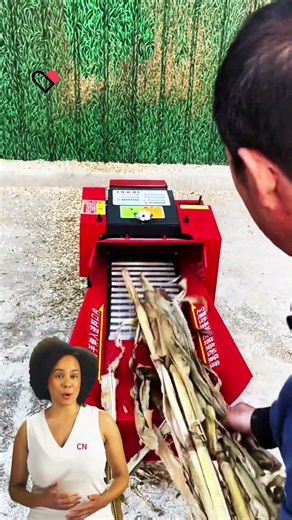 #fcnfm FCNFM Vertical All-Round Hay Chopper for Bedding, Feed, Compost and Grain Milling Tasks
