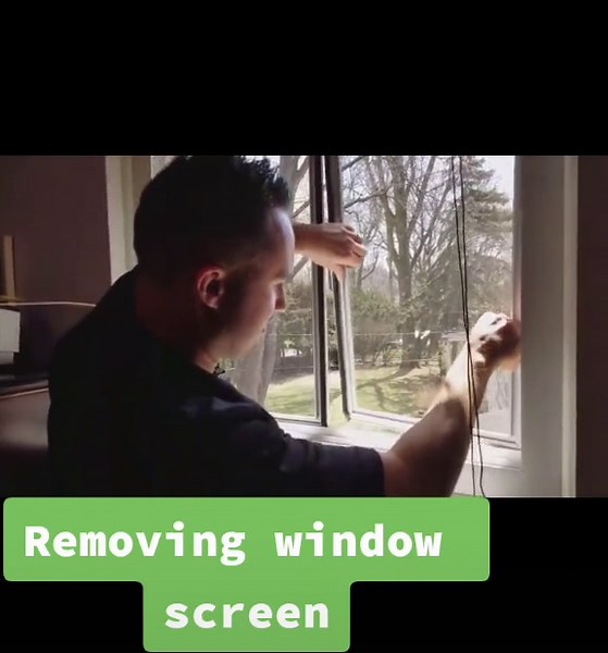 Quick Tutorial: How to Remove Window Screen Easily