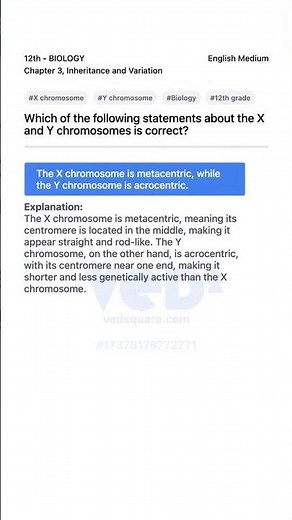 X and Y Chromosomes Explained 12th Biology Inheritance and Variation