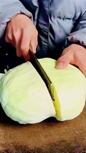 cabbage cutting techniques for harvested cabbage #shorts