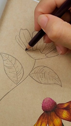 Coloring a Flower with Colored Pencils | The Sketchbook Coloring Book