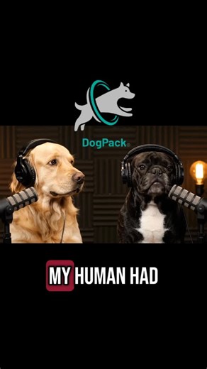 DogPack on Instagram: "Steps are steps 😅"