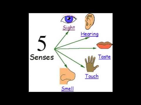 How to analyse unseen prose, Paper 2 Section A, Edexcel Eng Lit iGCSE
