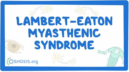 Lambert-Eaton myasthenic syndrome: Video, Causes, & Meaning | Osmosis