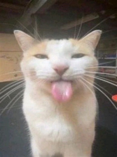 Script de Lag Switch: Solución y Disculpas