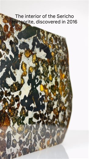 Sericho Meteorite: A Rare Pallasite from Kenya