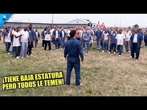 Ellos No Saben Que El Nuevo Prisionero Es Un Maestro De Artes Marciales | El Gran Stan | Resumen