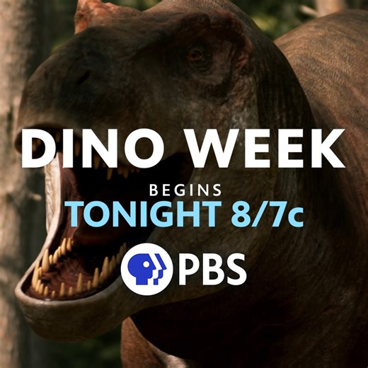 Six dig sites. Six stories. Six prehistoric heroes 🦖 Discover the incredible lives of dinosaurs unearthed from real-world excavations in a reimagining of the iconic #WalkingWithDinosaurs series. Meet them all TONIGHT as Dino Week officially kicks off at 8 PM on PBS NC. | PBS North Carolina