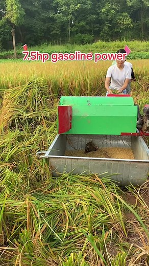 Rice thresher machine #foryou #rice #thresher #machine #paddy