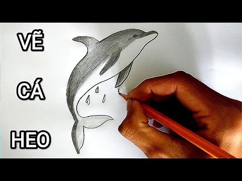 Vẽ CÁ HEO bằng bút chì cực chuẩn | How to draw a Dolphin
