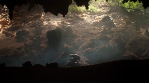 New Alien: Earth Trailer Finally Shows an Alien on Earth — and Something Terrible Happening to a Sheep's Eye