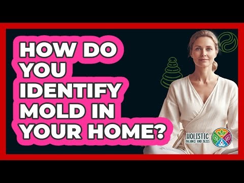 How Do You Identify Mold In Your Home?