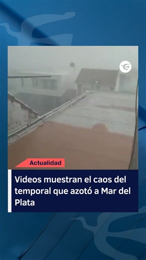 🌧️ Un violento temporal golpeó este lunes a Mar del Plata, transformando una jornada de verano en un episodio de lluvia intensa, granizo y ráfagas de viento que sorprendieron a turistas y vecinos. 📹 Los registros que circulan en redes muestran cómo quienes estaban en la playa y en la ciudad debieron resguardarse de la brusca caída de piedras de hielo y el cambio repentino del clima que obligó a muchos a abandonar la arena con urgencia. 🚗 En zonas como Punta Mogotes, Faro Norte y Punta Cantera