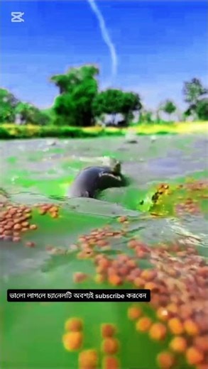 ইয়া ইবা দিল লাজিনা আমানুু।