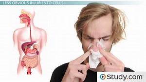 Cellular Injury: Infectious Causes & Their Processes