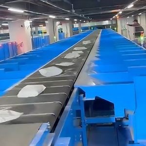 [Hot Item] Advanced Cross Belt Sorter for Efficient Automatic Parcel Sorting